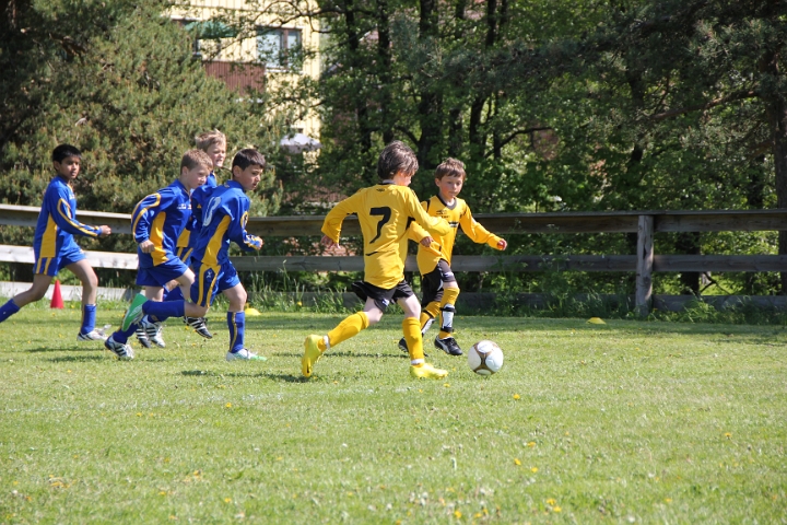 IMG_0818