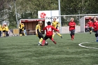 IMG_6921