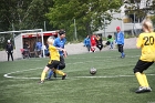 IMG_6990