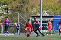 IMG_7546