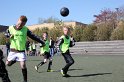 IMG_7764
