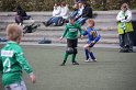 IMG_8456