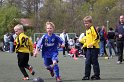 IMG_8463