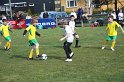 IMG_7536