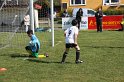 IMG_7539