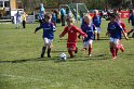 IMG_7553