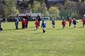 IMG_7558