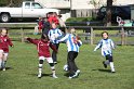 IMG_7568