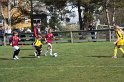 IMG_7587