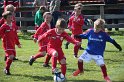 IMG_7595