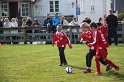 IMG_7623