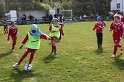 IMG_7625