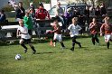 IMG_7637