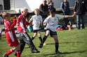 IMG_7651