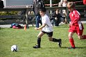 IMG_7659
