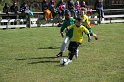 IMG_7667