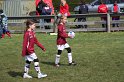 IMG_7703