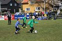 IMG_7726