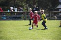 IMG_7801