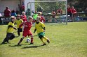 IMG_7803