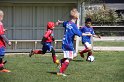 IMG_7897