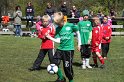 IMG_7915