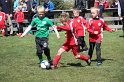 IMG_7920