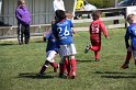 IMG_7931