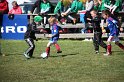 IMG_7962
