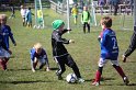 IMG_7968