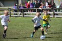 IMG_7991