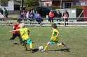 IMG_8004