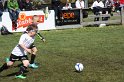 IMG_8006