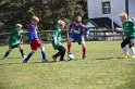 IMG_8016