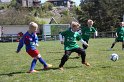 IMG_8018