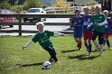 IMG_8021