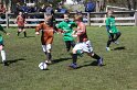 IMG_8028