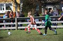 IMG_8031