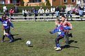 IMG_8045