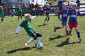 IMG_8071