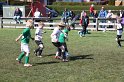 IMG_8084