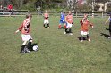 IMG_8104