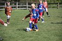 IMG_8116