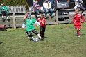 IMG_8126