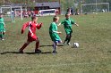 IMG_8139