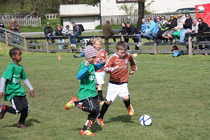 IMG_8220