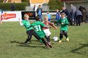 IMG_8219