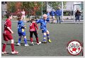 IMG_8768