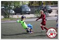 IMG_8770