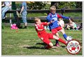 IMG_9090
